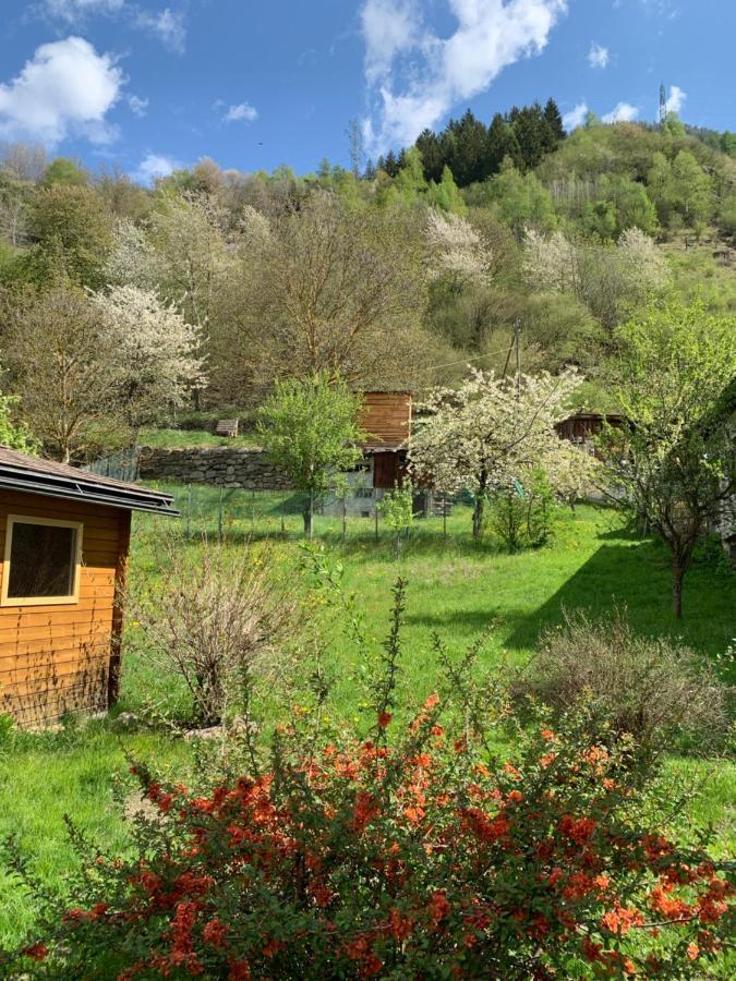 B&B Cuore Verde Poschiavo Exterior foto